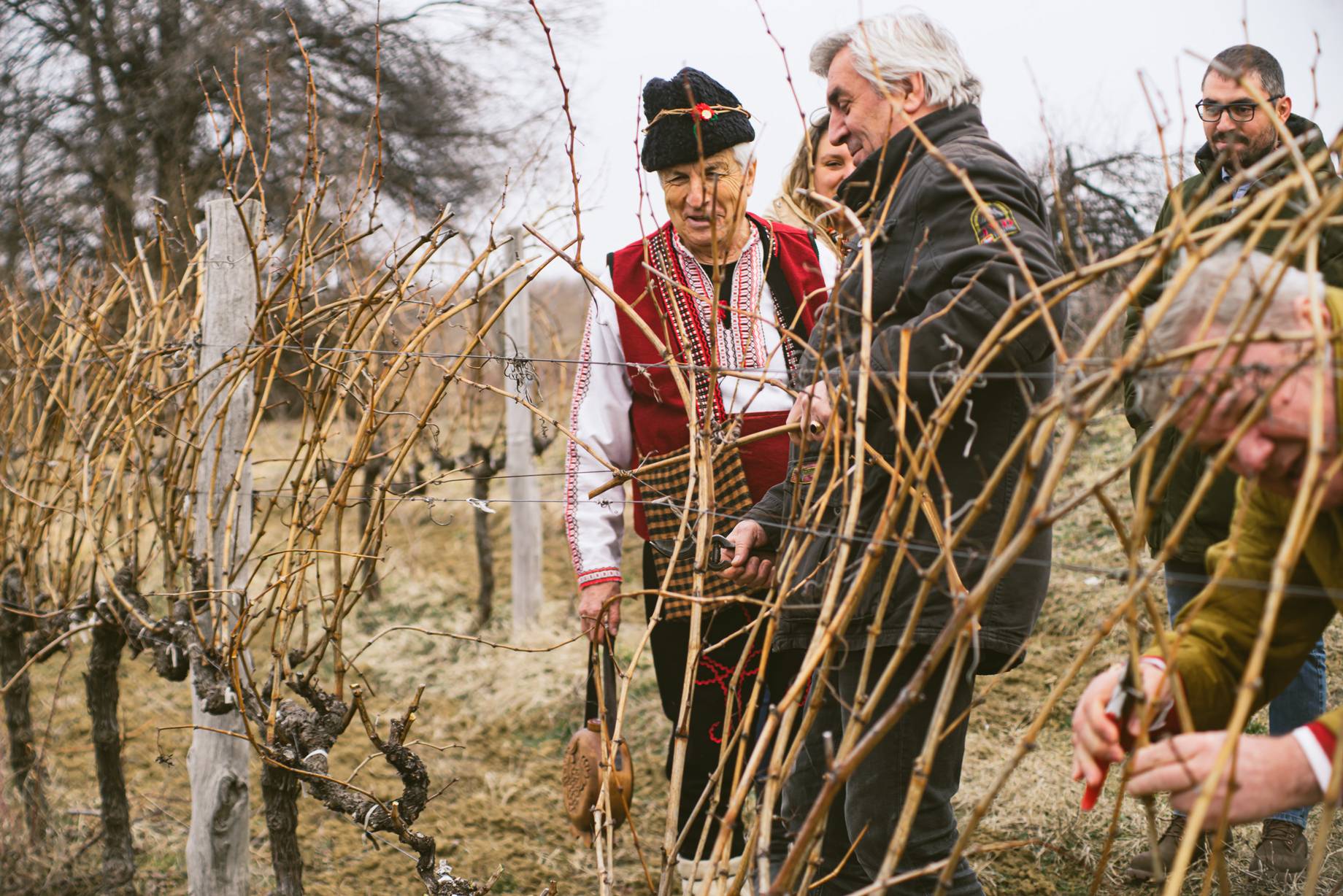  Типченица - Трифон Зарезан 